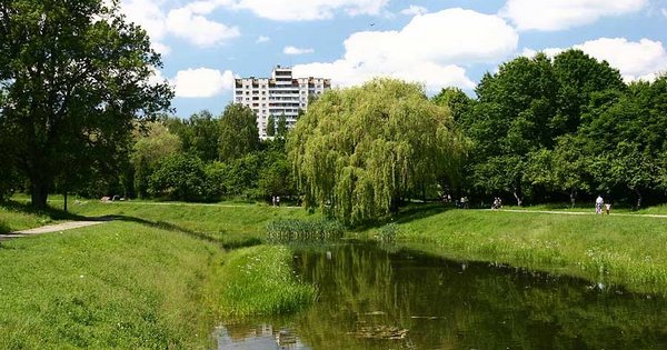 Пробіг присвячений Дню фізичної культури і спорту 2016